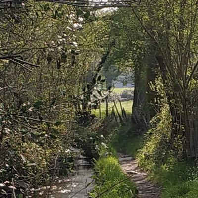 chemin de la Glouzie, La Gacilly