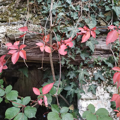 La mise en valeur du patrimoine des rues