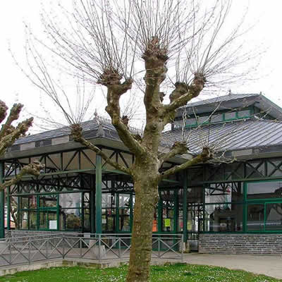 Les halles de 1993 à La Gacilly