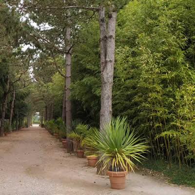 Jardin Botanique Yves Rocher, La Gacilly