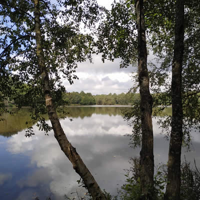 L'étang de la Rocquennerie, La Gacilly