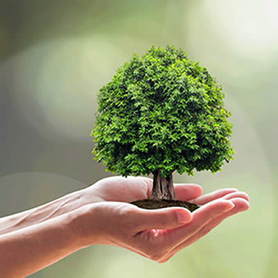 Biodiversité des rues, La Gacilly