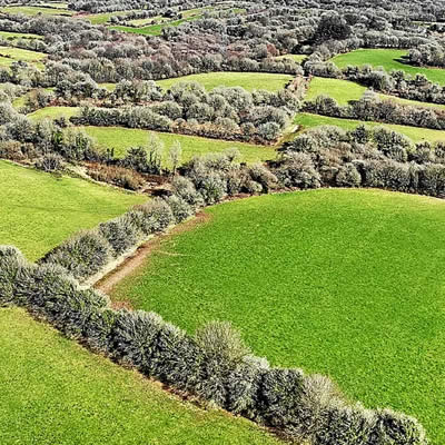 Vue des parcelles agricoles structurées par un réseau de haies bocagères.